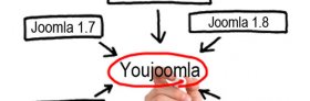 YJ 2011 Development Roadmap